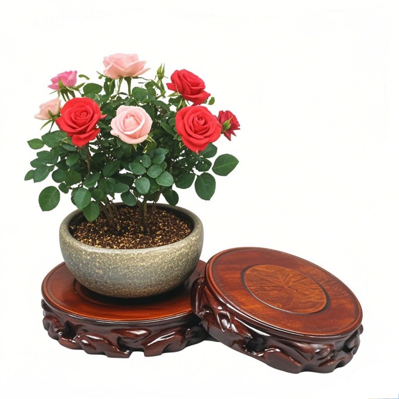 木製植物受け皿＆植木鉢スタンド - 多用途植木鉢ホルダー、盆 - Coffee Tea For Garden のレビューと価格